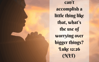 Don’t Sweat It: Trusting God with Our Worries