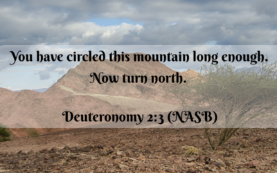 Circling Mountains: Trusting God and Moving Forward