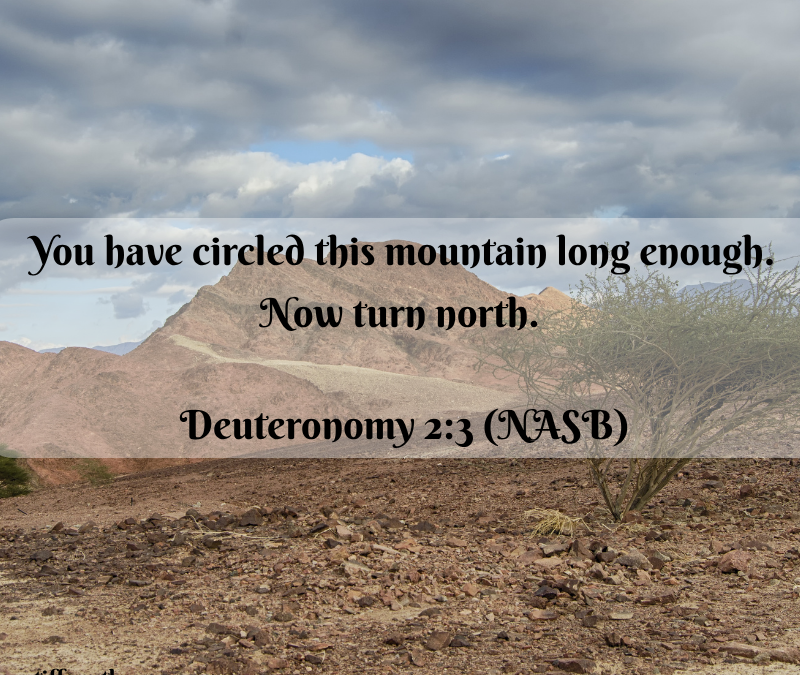 Scripture graphic showing a desert mountain landscape and the words, “You have circled this mountain long enough! Now turn north.” Deuteronomy 2:3 (NASB).